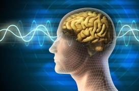 Hallucinations : comment le cerveau tente de les déjouer