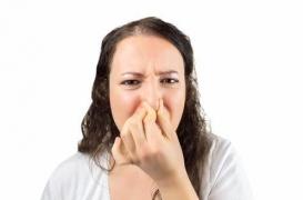 Se laver les dents est important mais le brossage de la langue ne sert à rien contre la mauvaise haleine