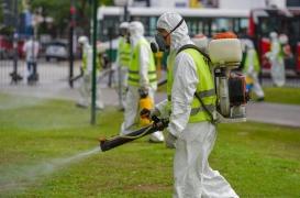 Italie : 64 cas de chikungunya dans la région de Rome