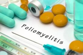 Polio : vivre un mois dans un conteneur pour tester un vaccin 