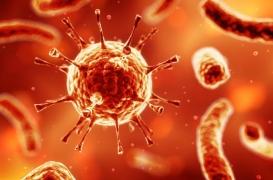 VIH : des essais prometteurs pour un candidat médicament 