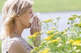 Allergies : 28 départements en zone rouge 
