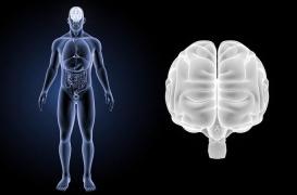 Un capteur de pression  implantable et biodégradable 