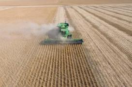 Glyphosate : une étude sur plus de 20 ans relance le débat