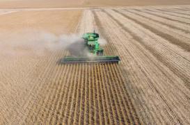 Glyphosate : une agence européenne dément son caractère cancérigène