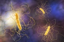 Antibiotiques : une ancienne molécule rendue 1 000 fois plus efficace