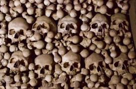 La puberté tardive expose à une baisse du capital osseux et aux fractures