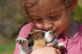 Stress : les chiens apaisent les enfants
