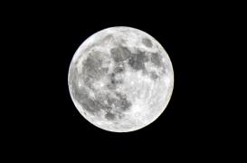 SpaceX : le voyage vers la Lune ne sera pas de tout repos