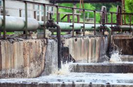 Des perturbateurs endocriniens identifiés dans les eaux de surface 