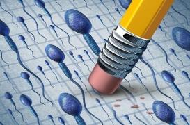 Le sperme : pas assez et de mauvaise qualité !