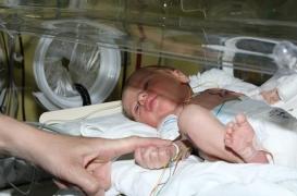 Prématurité : un faible effet sur les performances scolaires