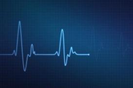 Décès : le nombre de morts se stabilise en France 