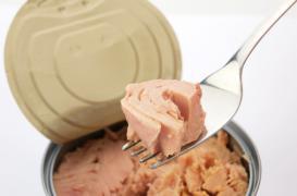 Poisson : mercure, cadmium et arsenic dans des boîtes de thon