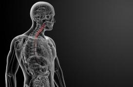 L’immunothérapie représente une nouvelle solution dans les cancers de l’œsophage en stade avancé