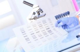 Risques génétiques : informer les patients quand on peut agir