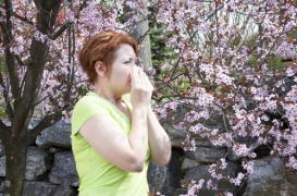 Pollens : le HCSP veut des messages sanitaires partout  