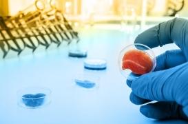 Cellules souches : des experts s'alarment de la flambée du marché