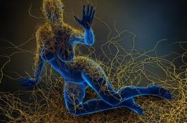 Sclérose en plaques : pourquoi les hommes jeunes ont moins de risque ?