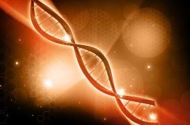 Les secrets de notre santé… disponibles !