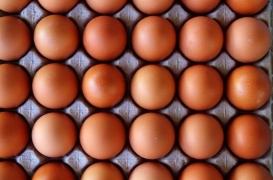 Œufs contaminés : le ministère publie la liste des produits sur le marché