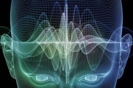 Mort cérébrale : des cellules souches pour ranimer le cerveau 