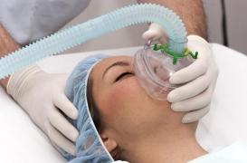 Les anesthésiques : des effets égaux sur les plantes, les animaux et les humains