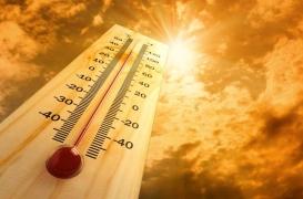 Canicule : plus de personnes âgées aux urgences