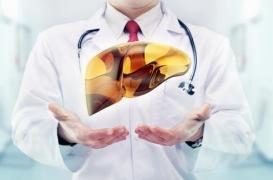 Les Maladies du Foie sont à rechercher systématiquement en dosant les transaminases. Simple et bon marché.