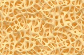  Le don de moelle osseuse autorisé aux homosexuels et bisexuels