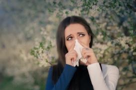 Allergies au bouleau : risque très élevé à Lyon et Paris 