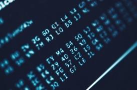 Cancer du sein : les algorithmes, efficaces pour détecter les métastases