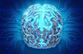 Fibromyalgie : des réseaux de neurones hypersensibles dans le cerveau