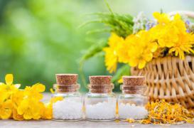 Homéopathie : l’Arnica favoriserait la cicatrisation