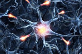 Obésité : les édulcorants ne diminuent pas l'envie de sucre