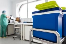 Leucémie résistante : l'espoir d'un nouveau traitement issu de la thérapie génique