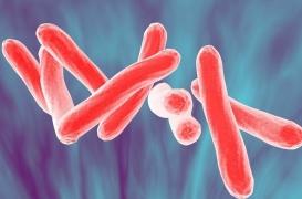 Smarves, Châtelleraudais : plusieurs cas de tuberculose. Ce qu'il faut savoir