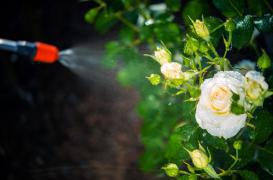 Pesticides dans l'air : Paris aussi touchée que les campagnes 