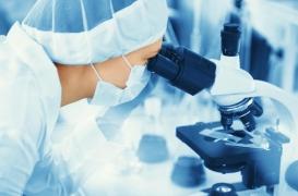 Des ovules humains ont été développés en laboratoire jusqu'à ce qu'ils soient prêts à être fécondés