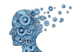  Les études longues diminuent le risque d’Alzheimer 