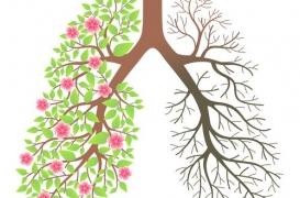 La BPCO (broncho-pneumopathie chronique obstructive) : silencieuse, mortelle, méconnue