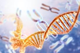 Troubles psychiatriques : d’où viennent les différences entre hommes et femmes ?