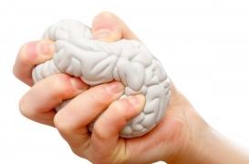 Cartographier le circuit neuronal pour déterminer la réponse physique au stress