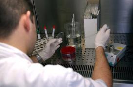 Marne : la superbactérie NDM-1 détectée chez un patient de retour du Vietnam