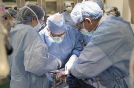 Greffe d’utérus : la première tentative américaine a échoué 