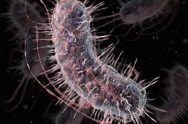 Antibiotiques : un test pour éviter les prescriptions inutiles