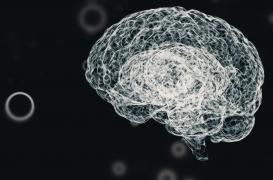 Covid-19 : le virus peut-il infecter le système nerveux central ?