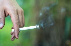 Maladies cardiovasculaires : comment le tabac affecte nos artères 