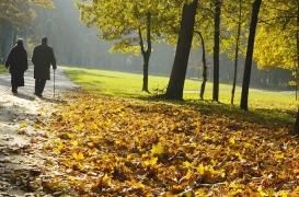 Séniors : la prévention des chutes doit aussi se concentrer sur l’extérieur