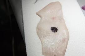 Un tatouage change de couleur selon l’état de santé du porteur